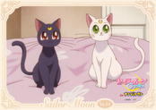 Filename=sailor-moon-crystal-namjatown-bromide-14.jpg
Filesize=1083KiB
Dimensions=1695x1200
Date added=Feb 08, 2023 sailor-moon-crystal-namjatown-bromide-14.jpg