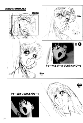 Mizuno Ami
Selenity's Moon
The Act of Animations
Hyper Graficers 1998
