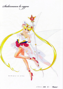 sailor-moon-clearfile-fukano-youichi-01.jpg