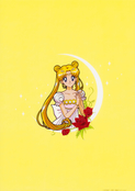 sailor-moon-exhibition-princess-serenity-clearfile-02.jpg