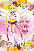 sailor-moon-cosmos-hana-biyori-postcard-01.jpg