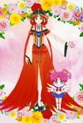 sailor-moon-cosmos-hana-biyori-postcard-07.jpg