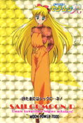 sailor-moon-pp4-05.jpg